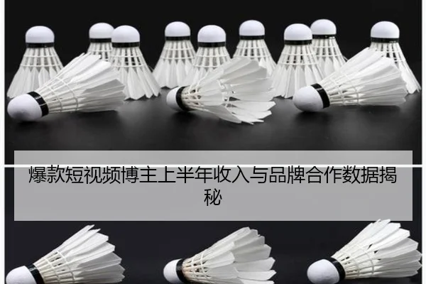 爆款短视频博主上半年收入与品牌合作数据揭秘